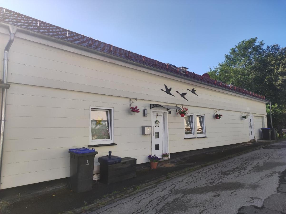 Ferienwohnung Lange Brilon Exterior photo